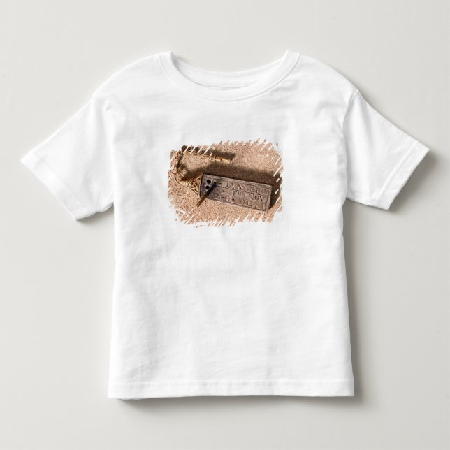 Bärbart sundial, silver och guld, 10th århundrade tee shirt (Framsida)