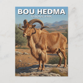 Barbary Sheep i Bou Hedma nationalpark i Tunisien Vykort