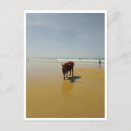 Barbate, Andalusien (Spanien) Vykort