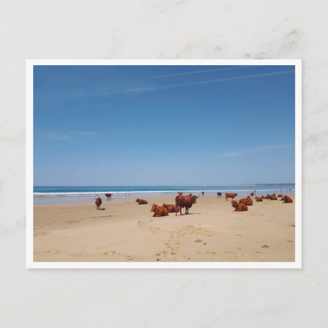 Barbate, Andalusien (Spanien) Vykort (Framsida)