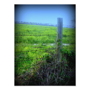 Barbed Wire Fence Fototryck