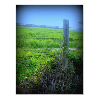 Barbed Wire Fence Fototryck