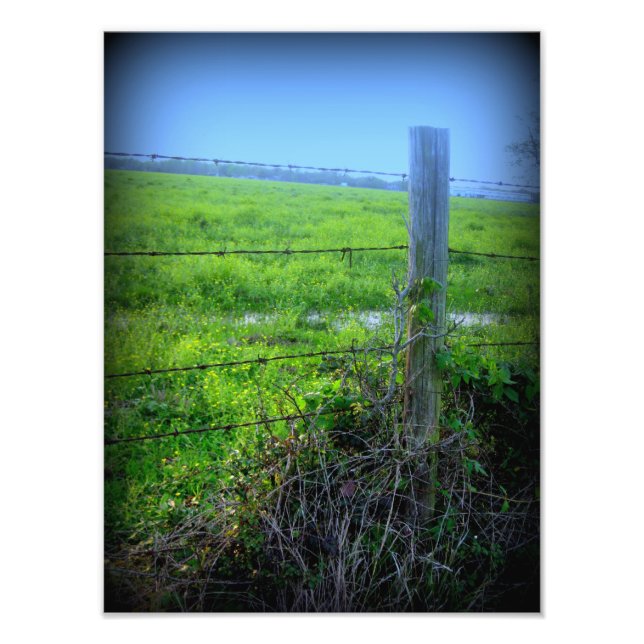 Barbed Wire Fence Fototryck (Framsidan)