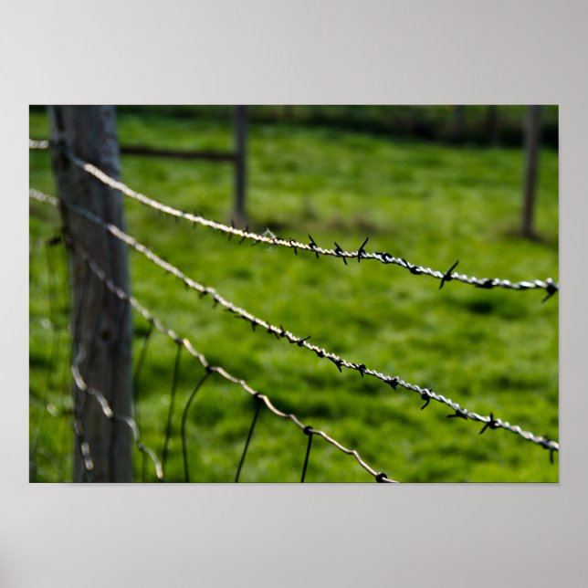 Barbed Wire Fence Poster (Framsidan)