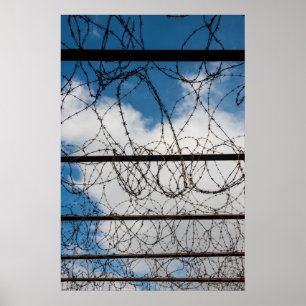 Barbed Wire Fence Poster