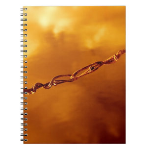 Barbed Wire Fugue Anteckningsbok