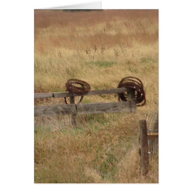 Barbed Wire Hälsningskort (Framsidan)
