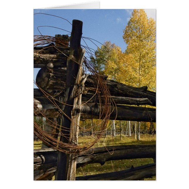 Barbed Wire Hälsningskort (Framsidan)
