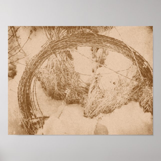 Barbed Wire i Winter Poster (Framsidan)