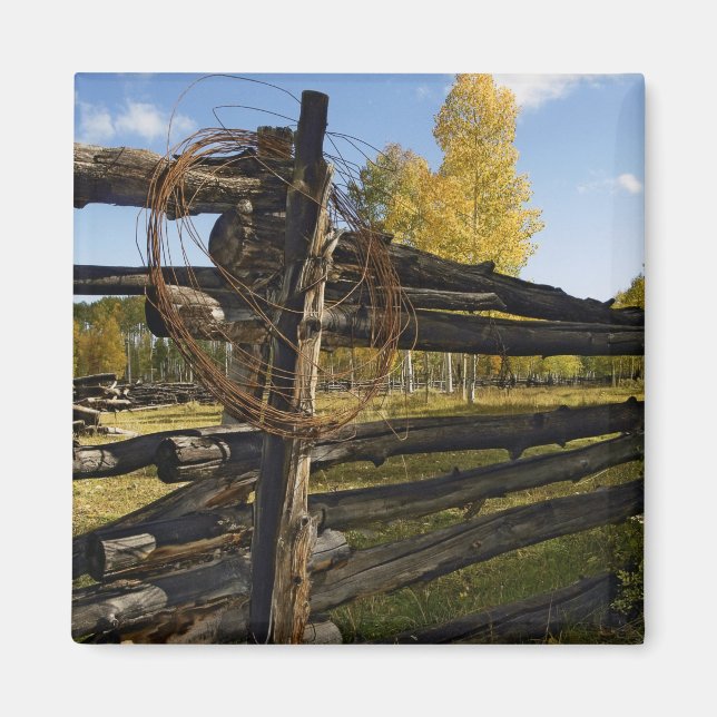 Barbed Wire Magnet (Framsidan)