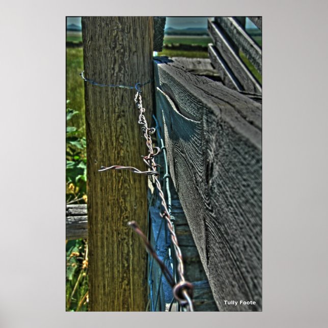 Barbed Wire Poster (Framsidan)