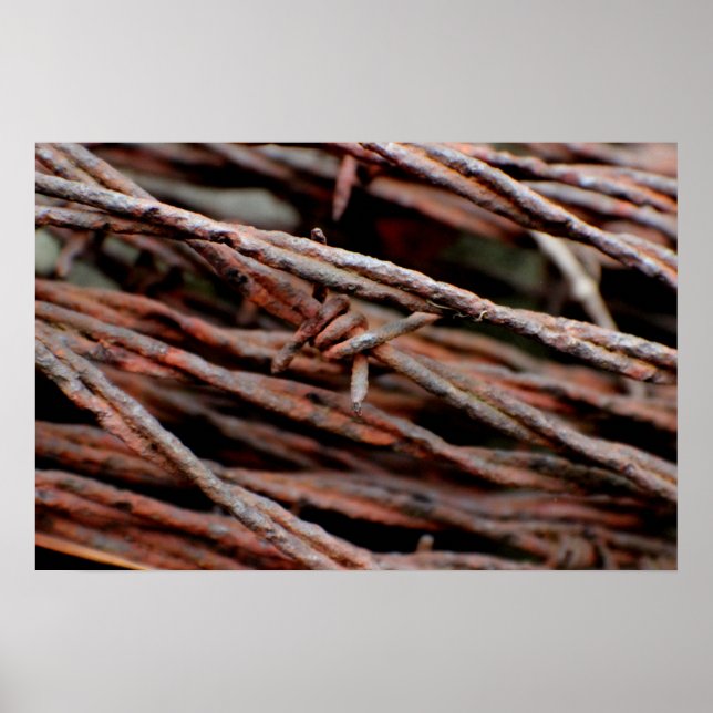 Barbed Wire Poster (Framsidan)