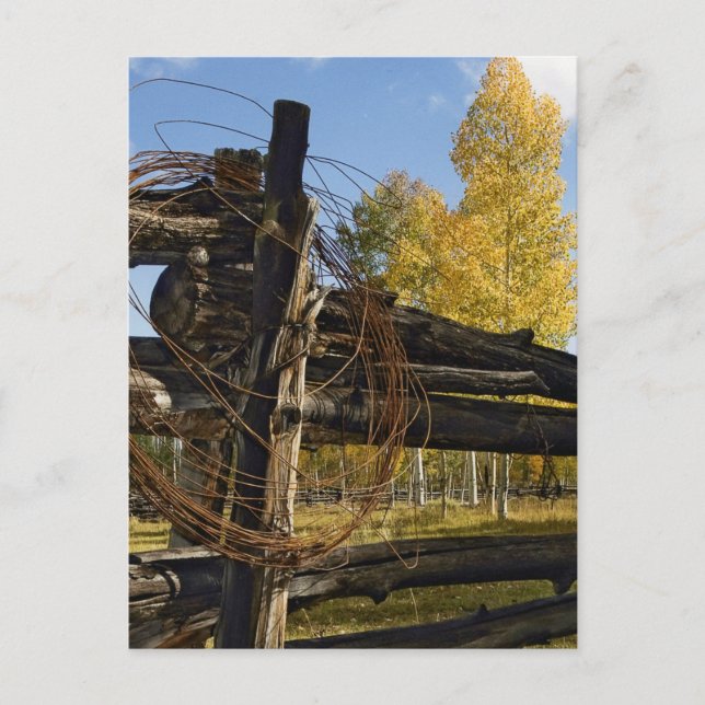 Barbed Wire Vykort (Framsida)