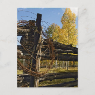 Barbed Wire Vykort
