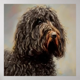 Barbet - Hund Porträtt Poster