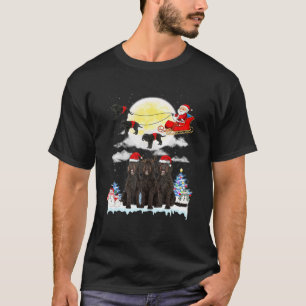 Barbet Hund Santa Sleigh jul Älskare T Shirt