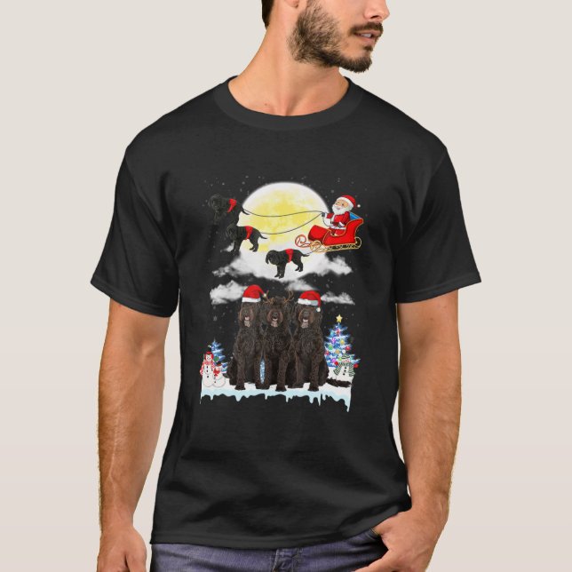 Barbet Hund Santa Sleigh jul Älskare T Shirt (Framsida)