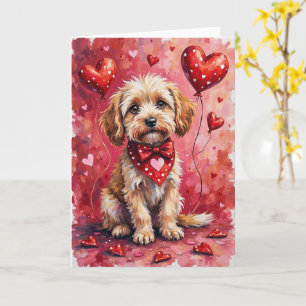Barbet Valentine Hund Sittande med Hjärtan Röda Kort