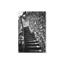 Barbican Steps, bra art black and white