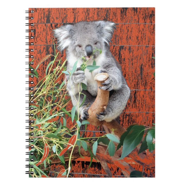 Bärbok för Koala Snack Time Spiral Anteckningsbok (Framsidan)