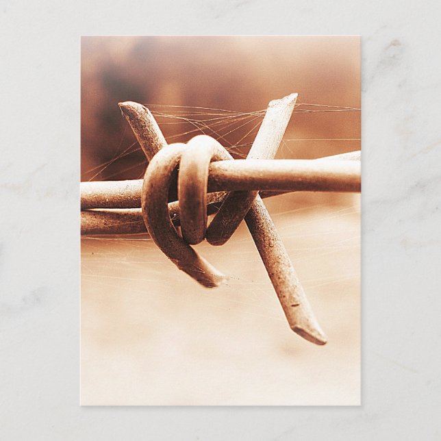 Barbwire och Spindelnät i Sepia Vykort (Framsida)