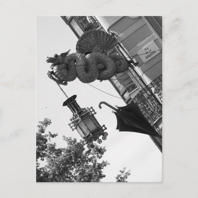 Barcelona-drake Vykort (Framsida)