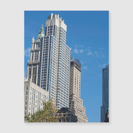 Barclay Torn Manhattan New York City