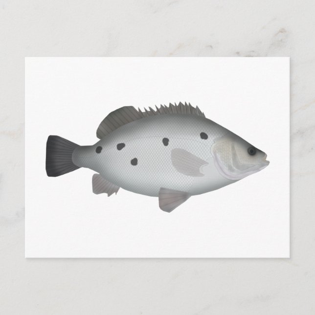 Barcoo Grunter Vykort (Framsida)