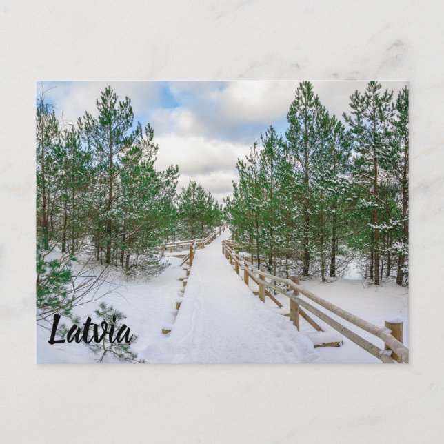 Bardpromenader i snö i gräs träd vykort (Framsida)