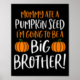 Bards Big Brother Fall Gravid Announcement Hallo Poster
