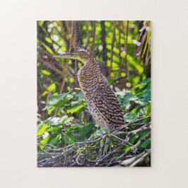 Bare-throated Tiger Heron - Tortuguero, Costa Rica Pussel