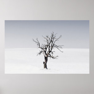 BARE TRÄD I SNÖ MITTEN POSTER
