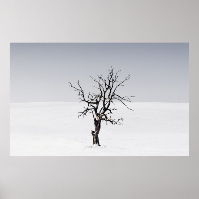 BARE TRÄD I SNÖ MITTEN POSTER (Framsidan)