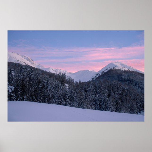 BARE TRÄD POSTER (Framsidan)