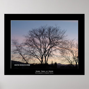 "Bare Träd vid Dusk" Poster