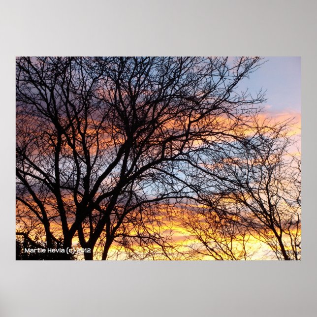 Bare Träd vid Sunset Poster (Framsidan)