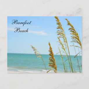 Barefoot Beach vykort