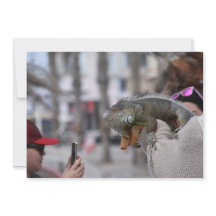 Bärgad dragon på vykortet för framsätet Paphos