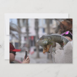 Bärgad dragon på vykortet för framsätet Paphos Inbjudningar