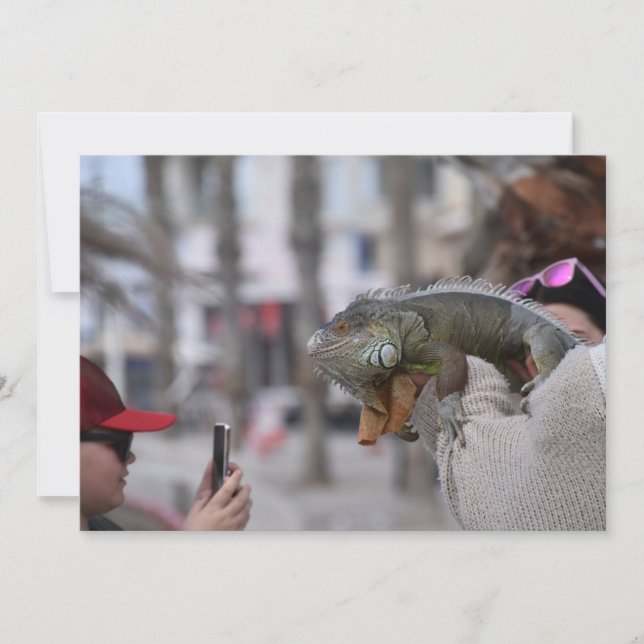 Bärgad dragon på vykortet för framsätet Paphos Inbjudningar (Framsida)