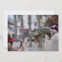 Bärgad dragon på vykortet för framsätet Paphos