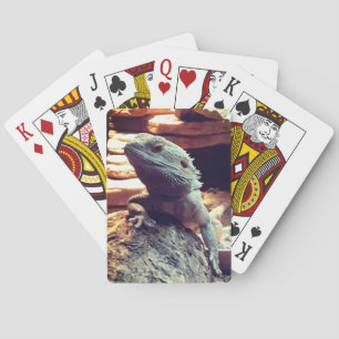 Bärgad drake casinokort