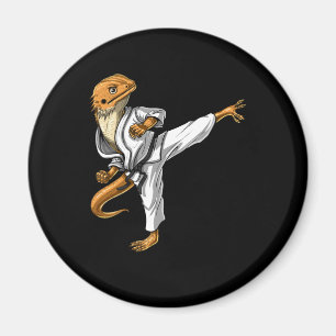 Bärgad drakkarat magnet