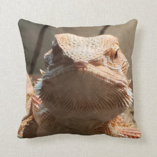 Bärgad draklipa kudde