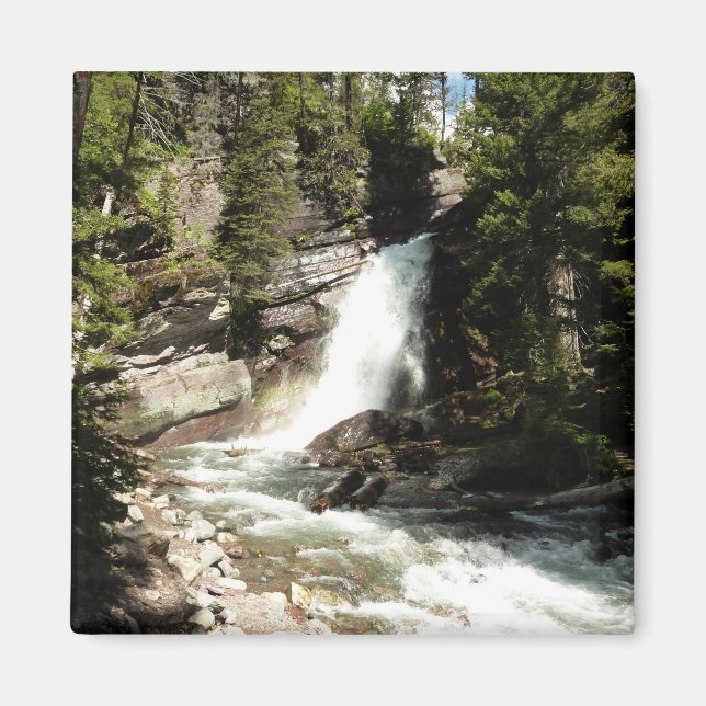 Baring Falls i Glacier nationalpark Magnet (Framsidan)