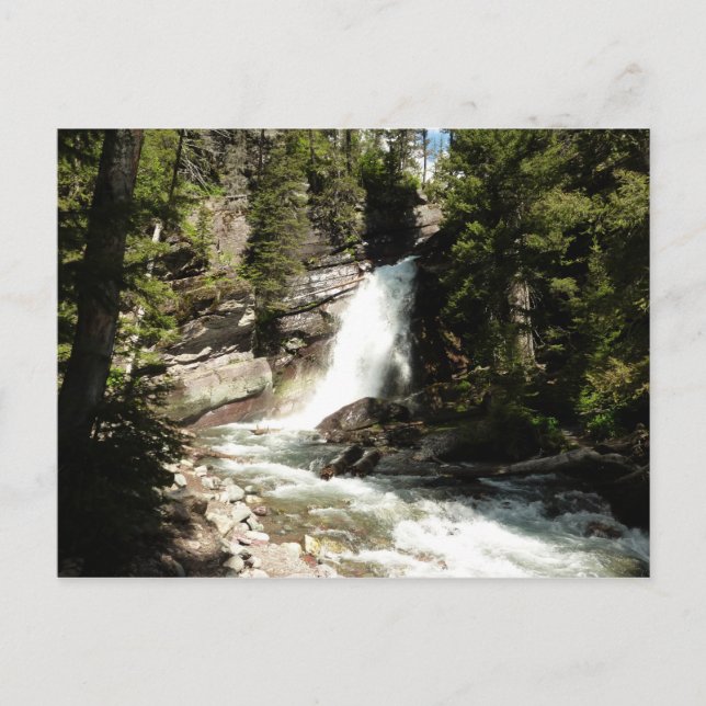 Baring Falls i Glacier nationalpark Vykort (Framsida)
