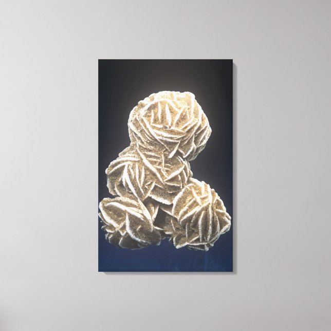 Barite crystals with Gypsum, Norman, Oklahoma, USA Canvastryck (Framsida)