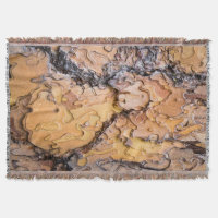 Bark av tallen Ponderosa, Washington