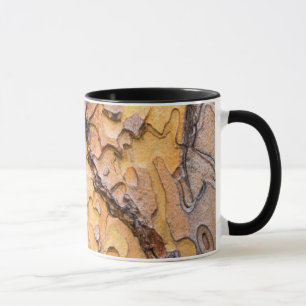 Bark av tallen Ponderosa, Washington Mugg