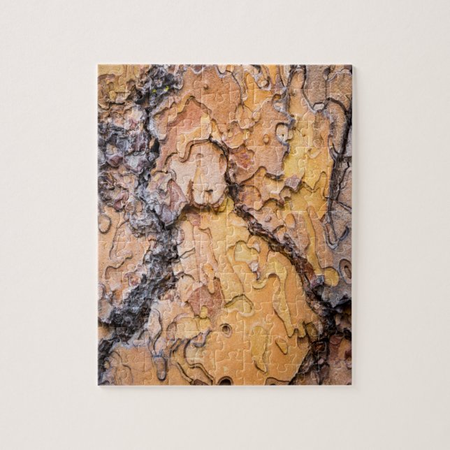 Bark av tallen Ponderosa, Washington Pussel (Vertikal)